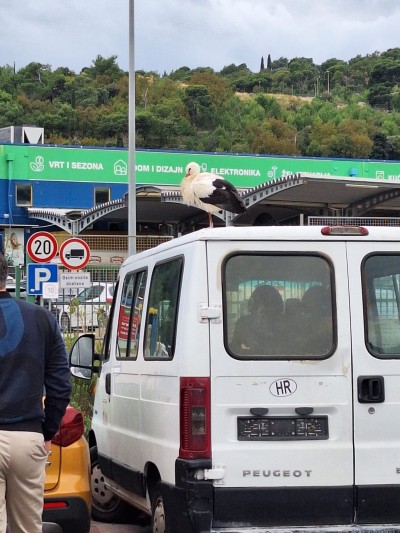 WhatsApp Image 2025-11-07 at 15.42.58 (2).jpeg